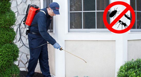 Doğanşar Karınca İlaçlama böcek ilaçlama ve haşere kontrolü — ilaclama-tr.com